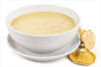 Creamy Chanterelle Soup isolated on white background, selective focus, close-up shot