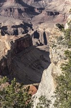 Grand Canyon National Park in Arizona, USA, North America