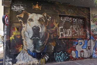 Portrait dog Lukanikos, street dog from the times of the Greek sovereign debt crisis, mural by