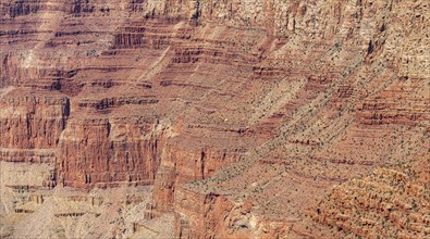 Grand Canyon South Rim in Arizona, USA, North America