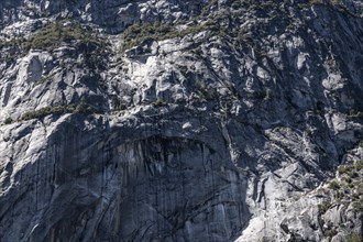 Granite rock face in Yosemite National Park, California. Detailed close-up shot