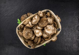 Portion of Shiitake mushrooms as detailed close up shot on a slate slab, selective focus