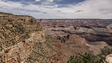 Famous Grand Canyon Sout Rim in Arizona, USA, North America