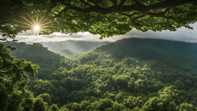 Rainforest canopy with verdant greenery and sunbeams piercing through the leaves, AI generated