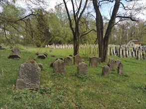 Jewish cemetery, Jewish cemetery Burgkunstadt, one of the largest Jewish country cemeteries in