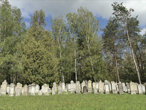 Jewish cemetery, Jewish cemetery Burgkunstadt, one of the largest Jewish country cemeteries in