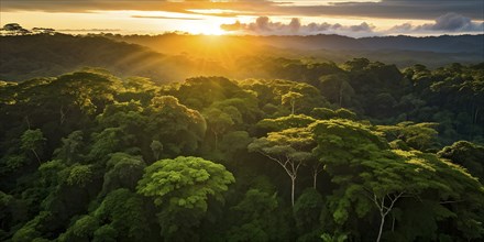 Aerial view of rainforest with beautyful sunrise at the horizon, AI generated
