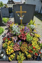 Fresh grave with floral decoration, Allgäu, Swabia, Bavaria, Germany, Europe