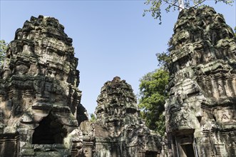 The famous Ta Prohm temple in Angkor Wat, Cambodia, Asia