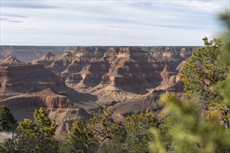 Famous Grand Canyon in Arizona, USA, North America