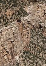 Famous Grand Canyon in Arizona, USA, North America