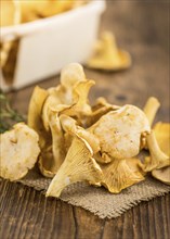 Fresh harvested Chanterelles (on a wooden table) as detailed close-up shot