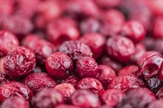 Dried Cranberries (selective focus, detailed close-up shot)