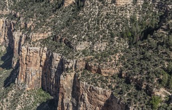 Grand Canyon National Park in Arizona, USA, North America