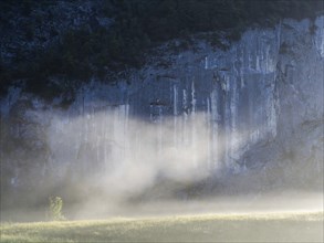 Morning atmosphere, early morning fog drifts over a meadow, behind the Gössler Wand, near Gössl,