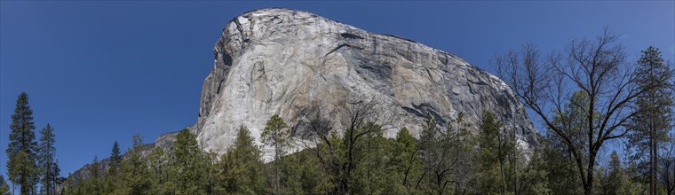 El Capitan, Yosemite National Park, California, USA, North America