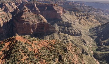 Grand Canyon Sout Rim, California, USA, . Aerial view from helicopter, North America