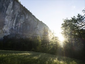 Morning atmosphere at sunrise, early morning fog over a meadow, behind the Gössler Wand, Gössl,