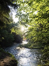 Morning atmosphere at sunrise, sunlight falls through a forest onto a stream, Gössl, Salzkammergut,