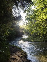 Morning atmosphere at sunrise, sunlight falls through a forest onto a stream, Gössl, Salzkammergut,