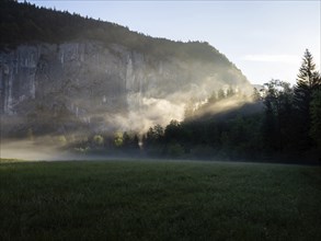 Morning atmosphere at sunrise, early morning fog over a meadow, behind the Gössler Wand, Gössl,