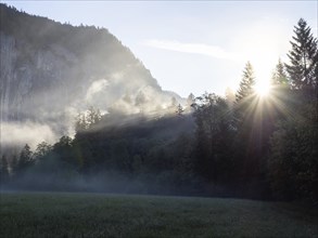 Morning atmosphere at sunrise, early morning fog over a meadow, behind the Gössler Wand, Gössl,