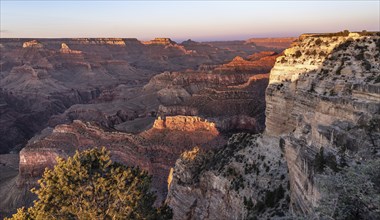 Grand Canyon National Park in Arizona, USA, North America