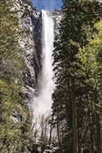 Yosemite Falls at a beatuiful day. California, USA, North America