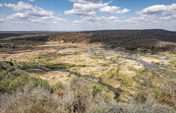 Limpopo (Olifants River) in Kruger National Park, South Africa, Africa