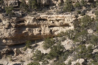 Grand Canyon South Rim in Arizona, USA, North America