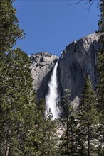 Upper Yosemite Falls, California, USA, North America