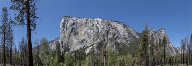 El Capitan, Yosemite National Park, California, USA, North America