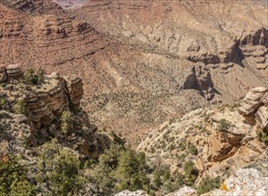 Grand Canyon South Rim in Arizona, USA, North America