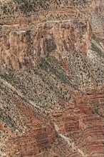 Grand Canyon National Park in Arizona, USA, North America