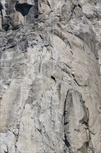 El Capitan (Yosemite National Park, California, USA) close-up shot