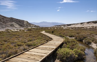 Salt Creek Interpretive Trail in Death Valley National Park