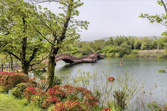 A scenic view of a lake with a red wooden bridge and lush greenery, in Suncheon, South Korea, Asia