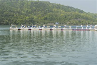 White swan-shaped boats docked along a lake with green hills in the background, in Suncheon, South