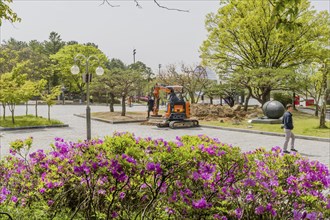 Urban park with ongoing construction work, an excavator, purple flower bushes, and trees on a