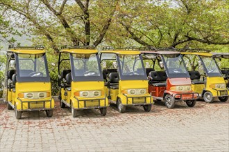 A row of yellow electric carts parked on a paved area under large trees, in Suncheon, South Korea,