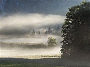 Early morning fog over forest and fields, Gössler Wand, Gössl, Salzkammergut, Styria, Austria,