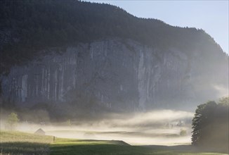 Early morning fog over forest and fields, Gössler Wand, Gössl, Salzkammergut, Styria, Austria,