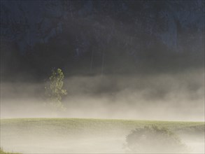 Early morning fog over forest and fields, Gössler Wand, Gössl, Salzkammergut, Styria, Austria,