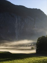 Early morning fog over forest and fields, Gössler Wand, Gössl, Salzkammergut, Styria, Austria,