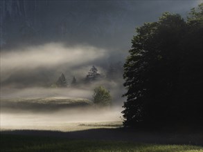 Early morning fog over forest and fields, Gössler Wand, Gössl, Salzkammergut, Styria, Austria,