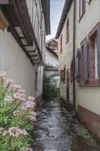 The Kropsbach in St. Martin, Southern Palatinate, Palatinate, Rhineland-Palatinate, Germany, Europe