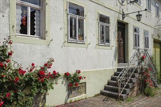 Winegrower's house in the historic Theresienstrasse, Rhodt unter Rietburg, German Wine Route, also