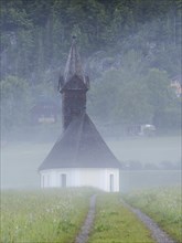 Foggy atmosphere, village church of Gössl, Salzkammergut, Styria, Austria, Europe