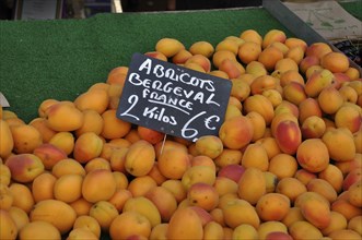 Apricots in a market in France