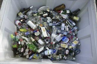 Waste glass, glass waste in a waste paper basket, Germany, Europe